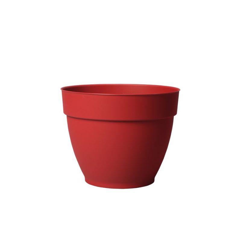 Ninfea red